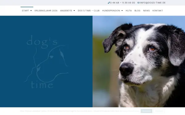 www.dogs-time.de