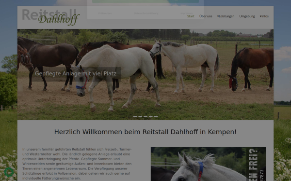 reitstall-dahlhoff.de