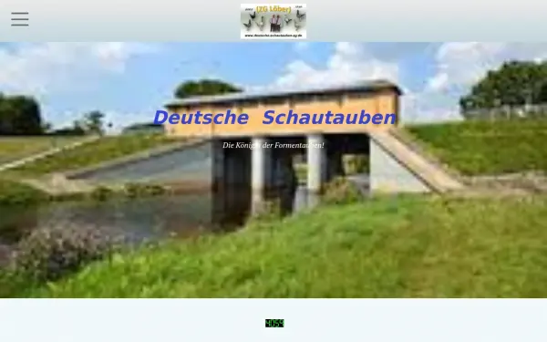 deutsche-schautauben-zg.de