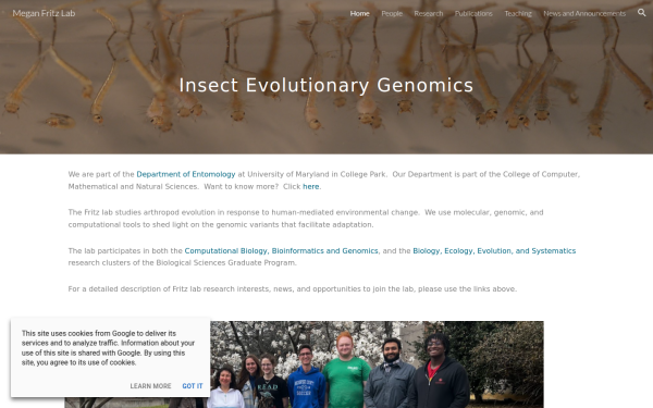 www.meganfritzlab.com