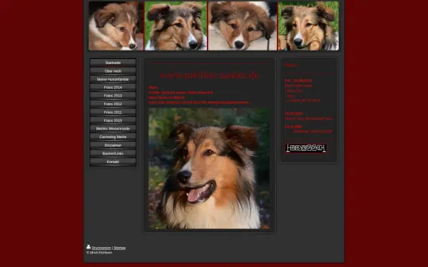 www.merlins-zauber.de