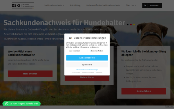 dski.de