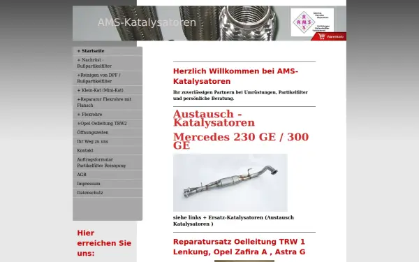 www.ams-katalysatoren.net