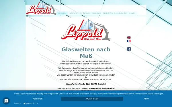 drahtspiegelglas.de