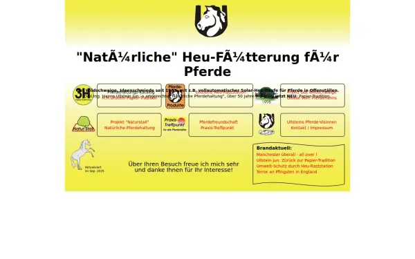 www.hanns-ullstein-jun.de