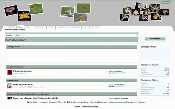 forum.orchideenforum.eu