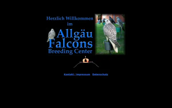 allgaeu-falcons.de