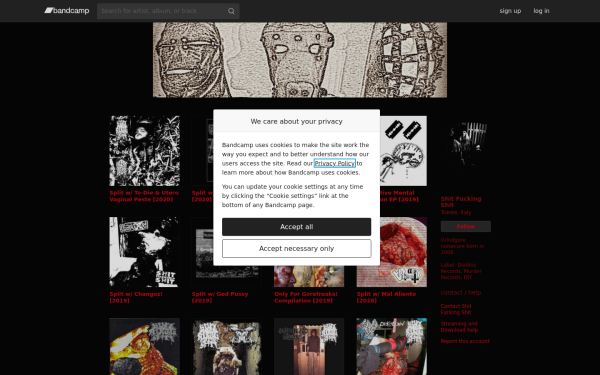 shitfuckingshit.bandcamp.com