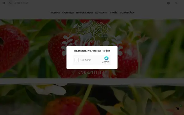 nsksad.ru