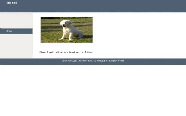 altersam.de