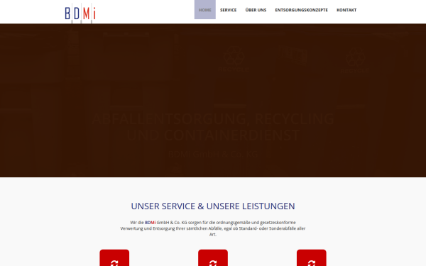 bdmi.de