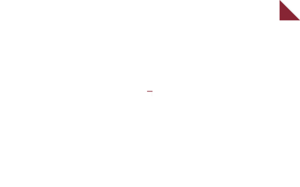 snlaw.at