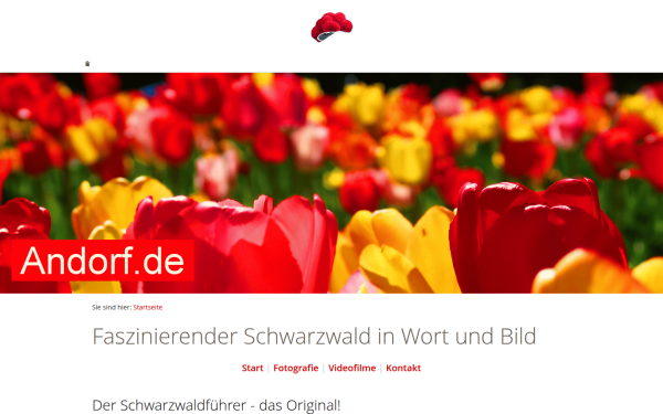 www.andorf.info