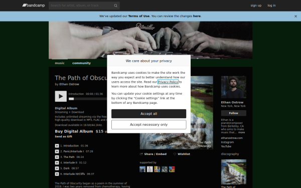 ethan-ostrow.bandcamp.com