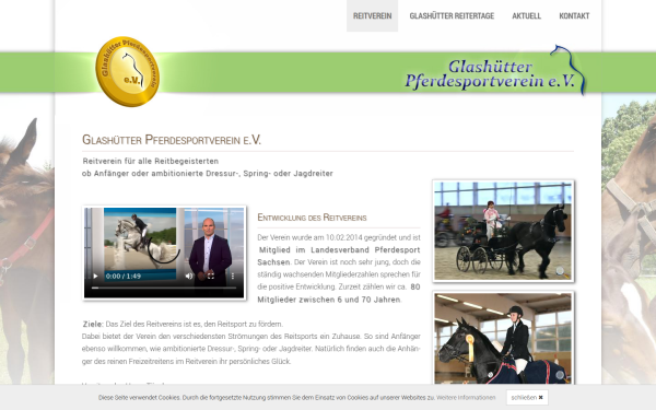 www.pferdesportverein-glashuette.de
