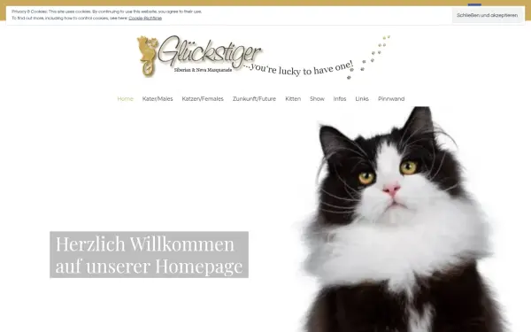 glueckstiger.de