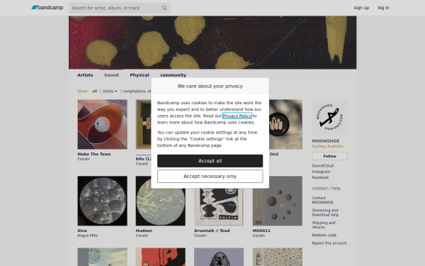 moonshoerecords.bandcamp.com