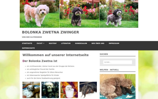 www.bolonka-zwetna-elsterheide.de