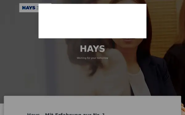 hayscareer.de