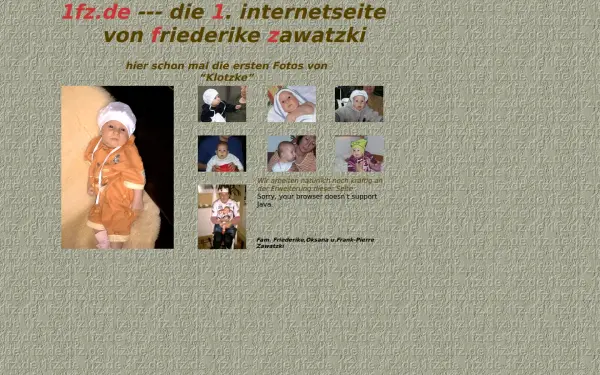 1fz.de