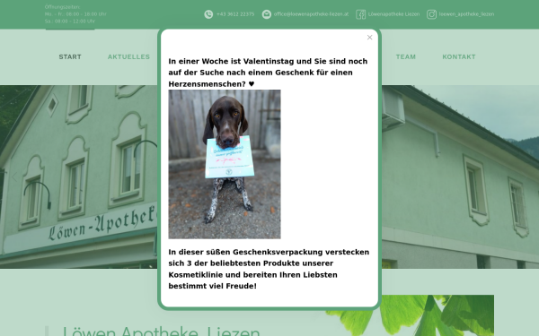 www.loewenapotheke-liezen.at