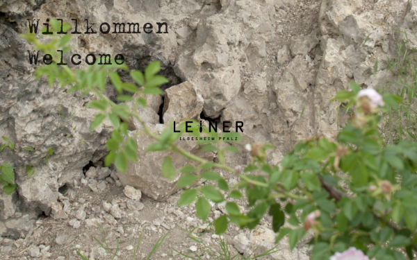 weingut-leiner.de