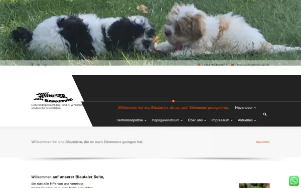 havaneser-vom-blautal.de