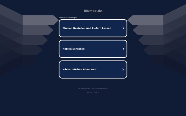 blumex.de