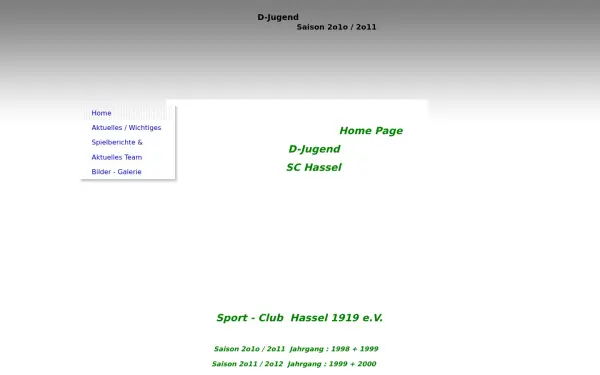 d-jugend-sc-hassel-1919.de
