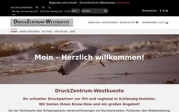 druckzentrum-westkueste.de