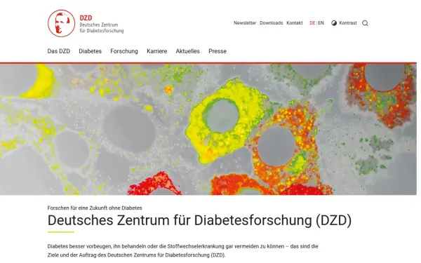 www.dzd-ev.de