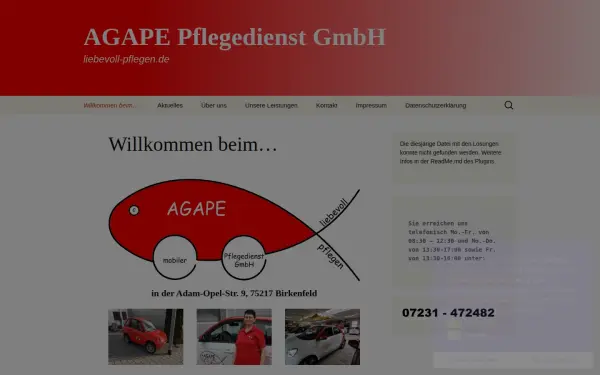 www.liebevoll-pflegen.de