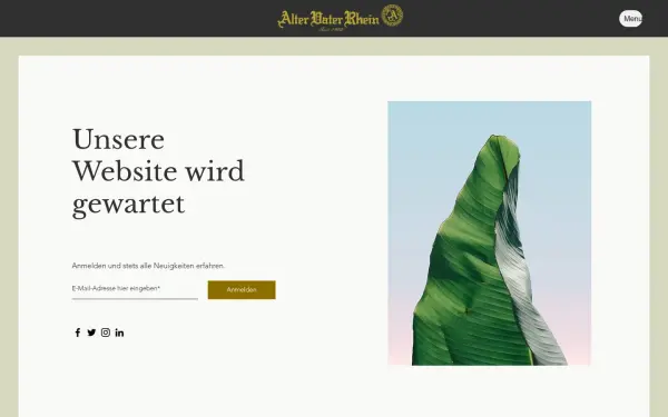 www.alter-vater-rhein.de