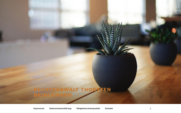 thorsten-brinckmann.de