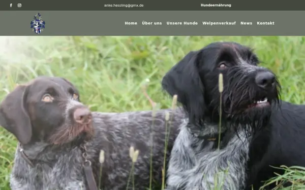 dd-vom-haus-hessling.de