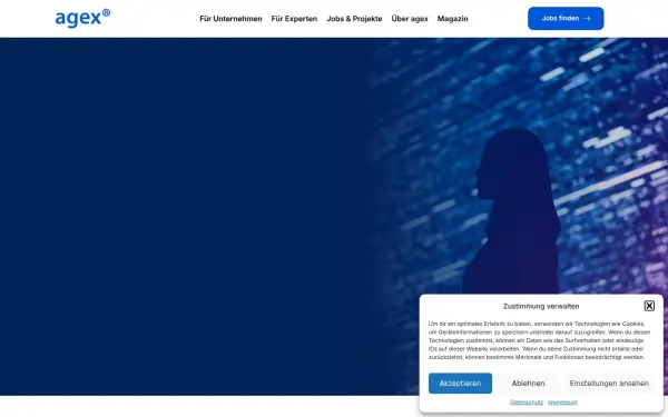 agex-it.de