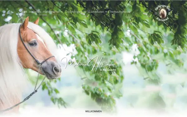 haflingerhof-karlsbad.de