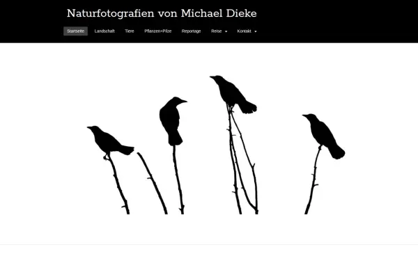 www.micha-dieke.de