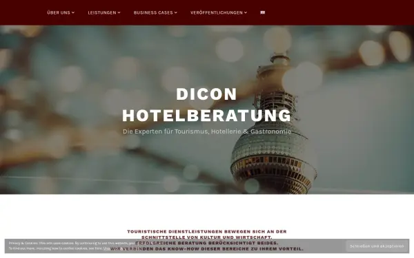 dicon-beratung.de