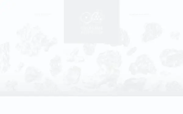 goldland-agentur.de