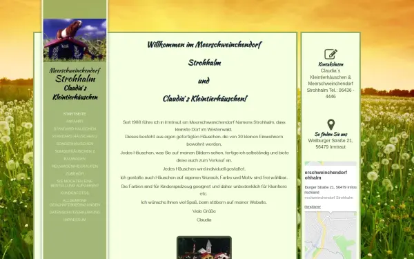 meerschweinchendorf.de
