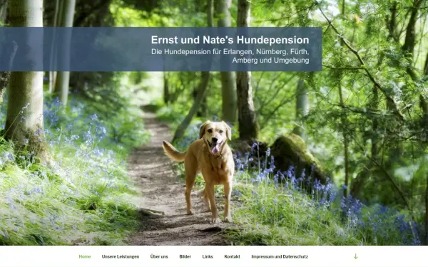 die-hunde-pension.de