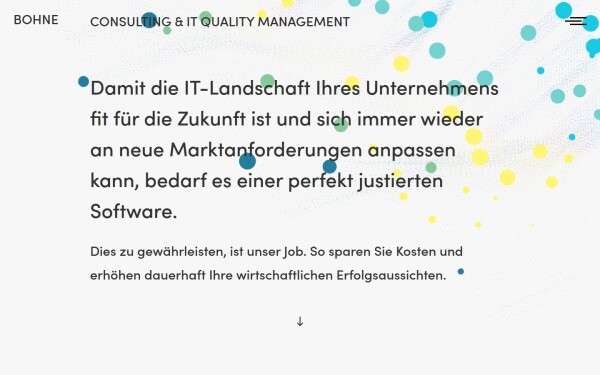 bohneconsulting.de