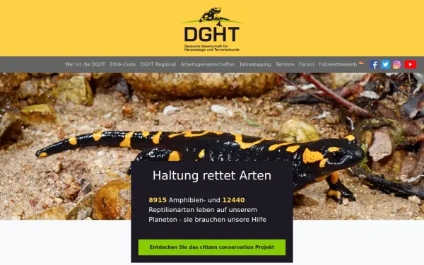 www.dght.de