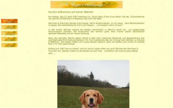 golden-quick-willy.de
