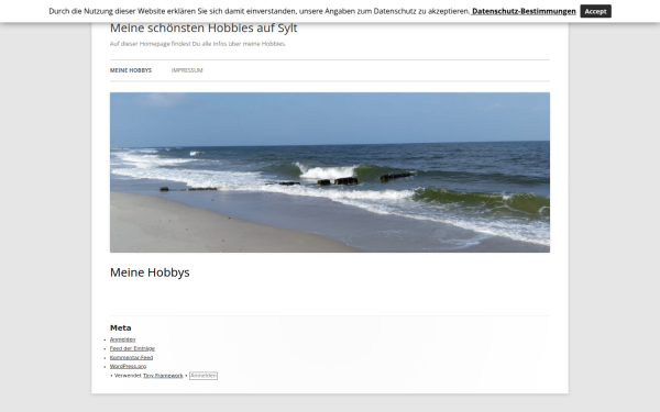 sylt-welle.de