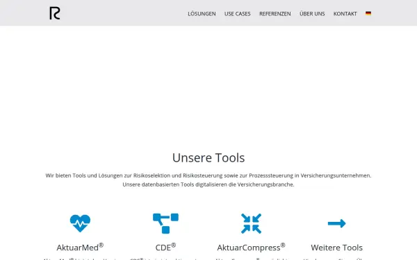 risk-consulting.de