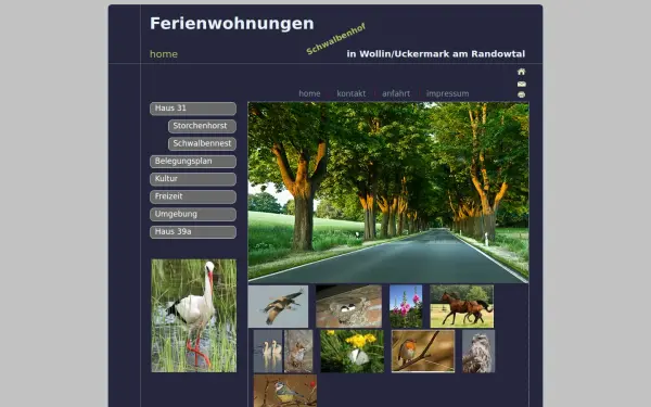 angermuende-stadtfuehrung.de