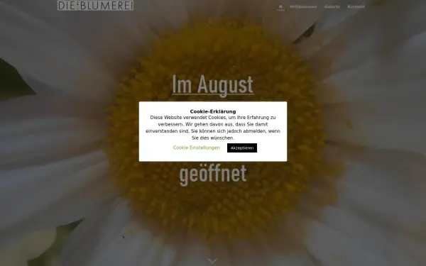 www.dieblumerei.de