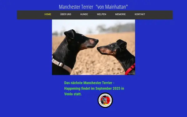 manchester-terrier-von-mainhattan.de